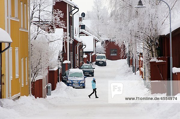 Snow Covered Bäume und Fahrzeuge auf Straße