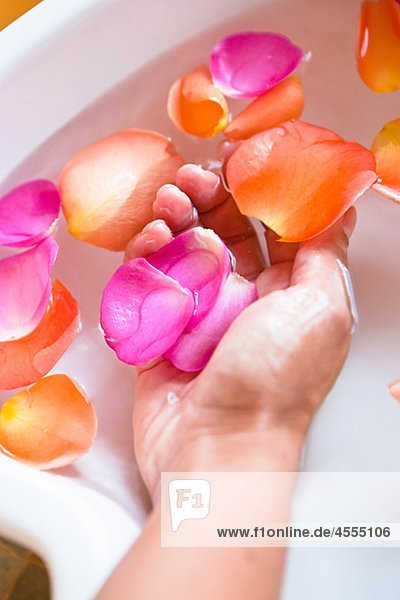 Close up of Hand in Spa Schale mit Wasser und Rosenblüten