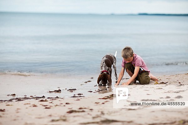 Junge spielt mit Hund am Strand