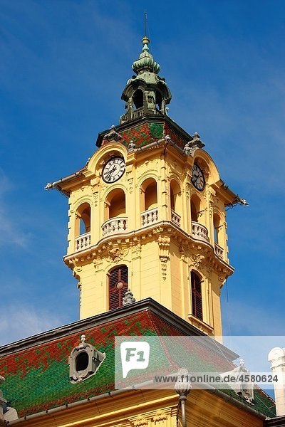 Szeged 18th Century City Hall Szechenyi Square Hungary 2257