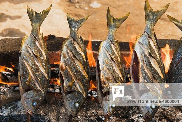 Fish grilling over fire