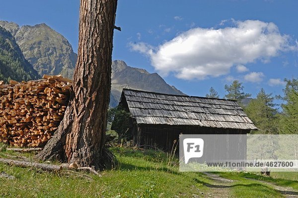 Austria  Lungau  Liegnitz Valley  Stack of firewoods in forest with hut and mountains in background