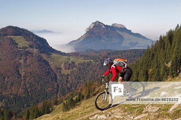 Austria  Tirol  Female mountain biker biking on spitzstein mountain