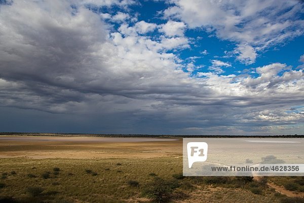 Afrika  Botswana  Mabuasehube  Blick auf Mabuasehube Pan mit Wasser