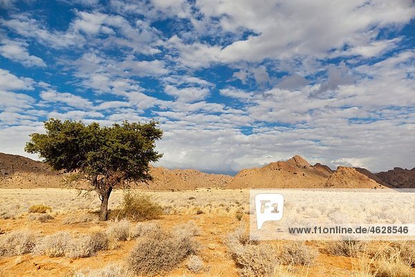 Afrika  Namibia  Namib Wüste  Blick auf Landschaft in Gondwana mit Rand Park