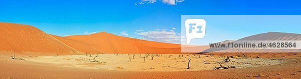 Africa,  Namibia,  Namib Naukluft National Park,  View of dead vlei in namib desert