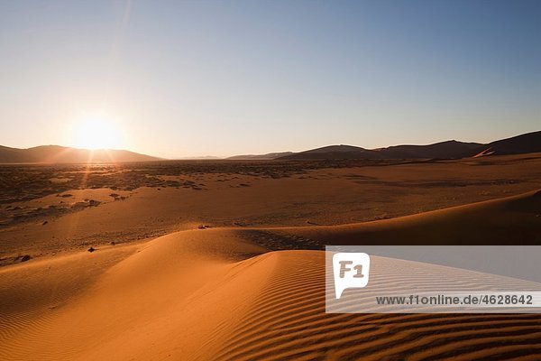 Afrika  Namibia  Namib Naukluft Nationalpark  Blick auf Sanddünen in der Namibwüste