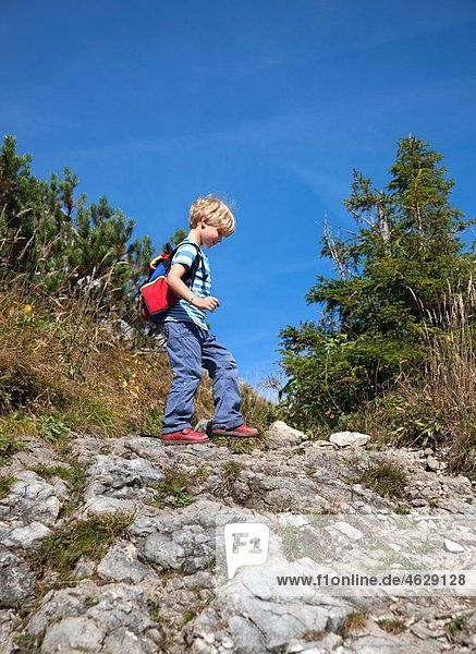 Junge (4-5 Jahre) Wandern auf dem Berg