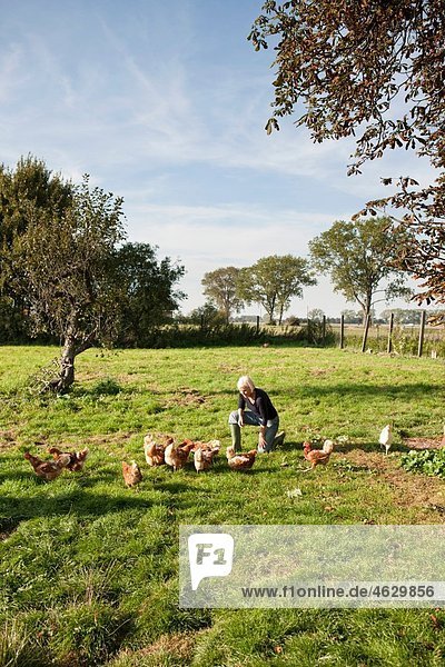 Seniorenfrau mit Hühnern auf dem Bauernhof