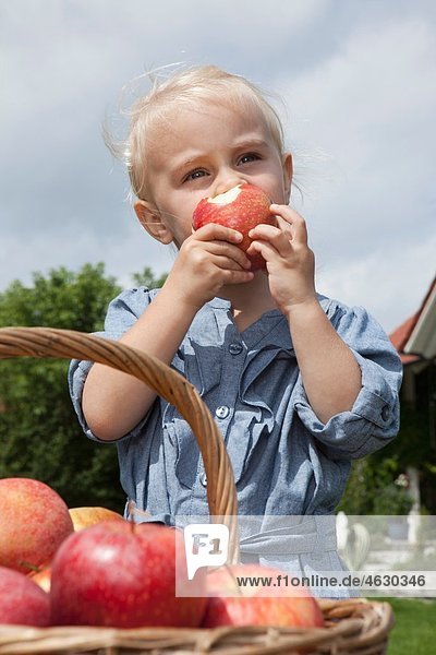 Mädchen (2-3 Jahre) essen Apfel
