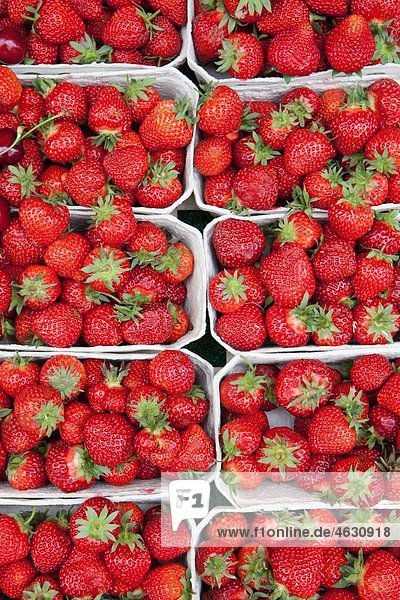 Deutschland  München  Erdbeeren in Kisten am Markt