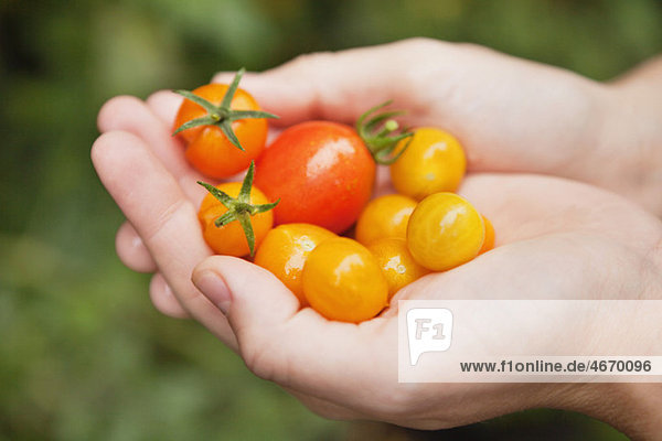 Eine Hand voll Tomaten