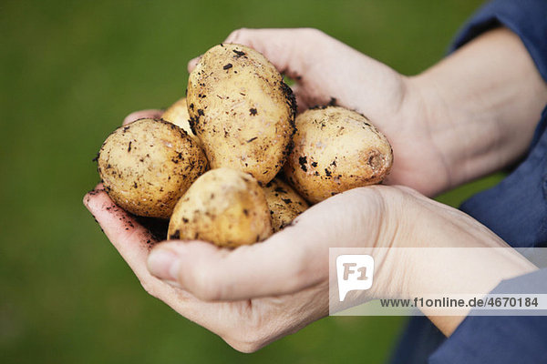 Handgehaltene Kartoffeln