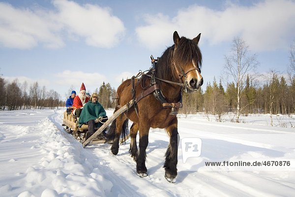 Horse pulling sleigh with Santa Claus on