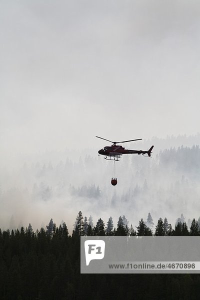 Hubschrauber löscht Waldbrand