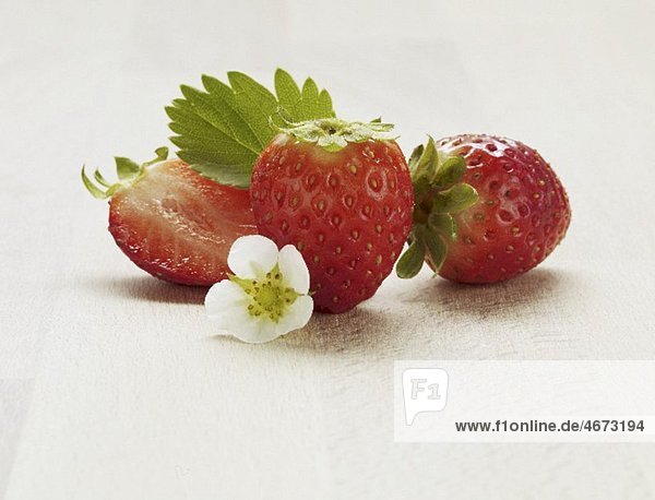 Erdbeeren mit Blüte