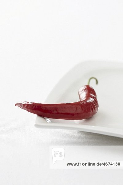 Eine rote Chilischote auf Teller