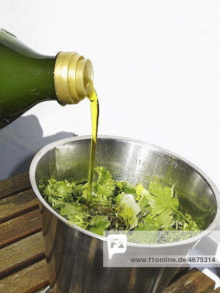 Kräuter mit Olivenöl begiessen (Zutaten für Pesto)