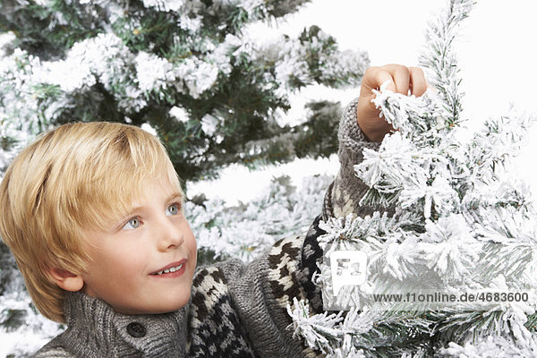 Boy decorating the christmas tree
