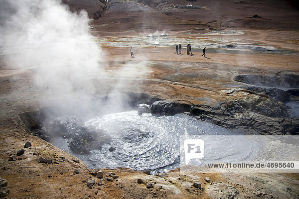 Smoking and sulfur stinking mud source in the sofatara region of Namaskard  Iceland  Europe
