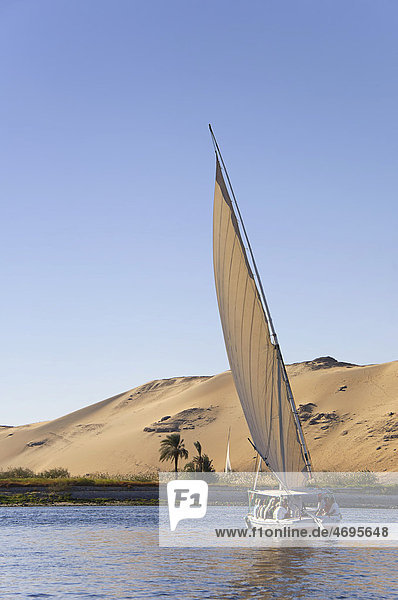 Felucca  a traditional wooden sailing boat  on the Nile  Egypt  Africa