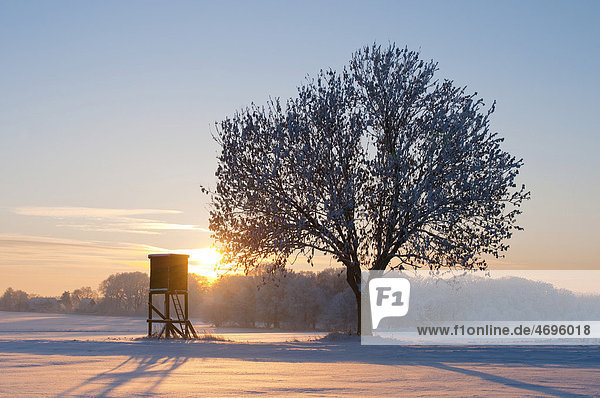 Sonnenuntergang in einer verschneiten Winterlandschaft  Niedersachsen  Deutschland  Europa