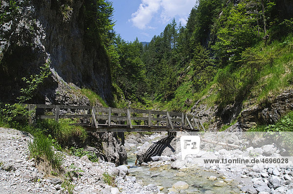 Trail in the Griessbachklamm gorge  Erpfendorf near St. Johann  Tyrol  Austria  Europe