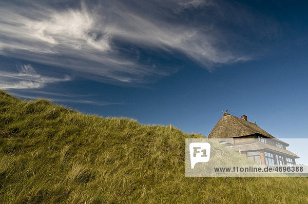 Thatched house in the dunes  Amrum island  Schleswig-Holstein  Germany  Europe