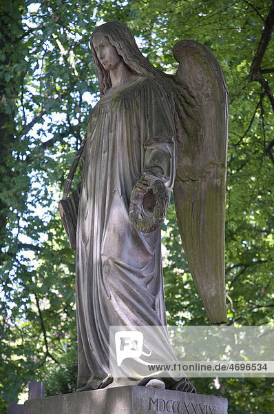 Engel  Statue  Alter Friedhof  Bonn  Rheinland  Nordrhein-Westfalen  Deutschland  Europa
