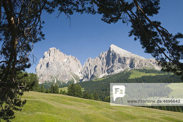 Plattkofel und Langkofel  Seiser Alm  Südtirol  Italien  Europa