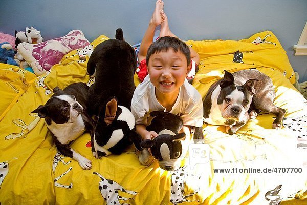 boy on bed with dogs and toys