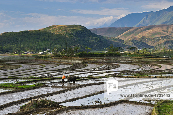 Reisterrassen bei Sapa Nordvietnam Vietnam Asien