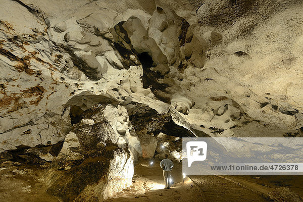 Magura Cave  Bulgaria  Europe
