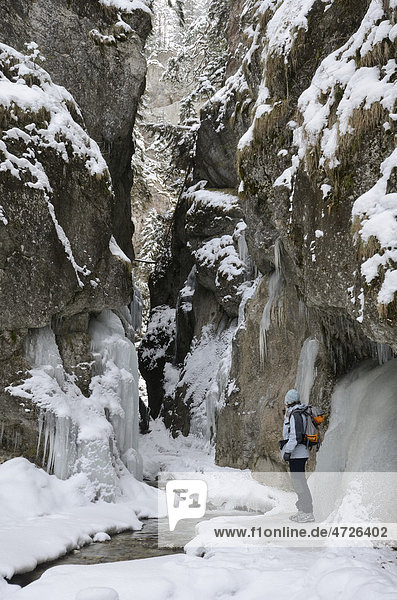 Wanderer in Schlucht Dolne Diery im Winter  Mala Fatra Nationalpark  Slowakei  Europa