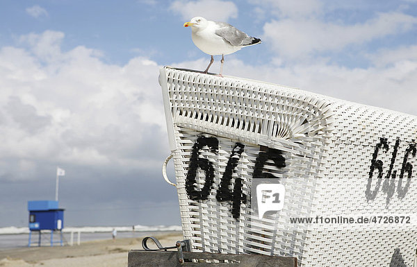 Seagull on beach chair  lifeguard hut  beach  Langeoog island  East Frisian Islands  North Sea  Germany  Europe