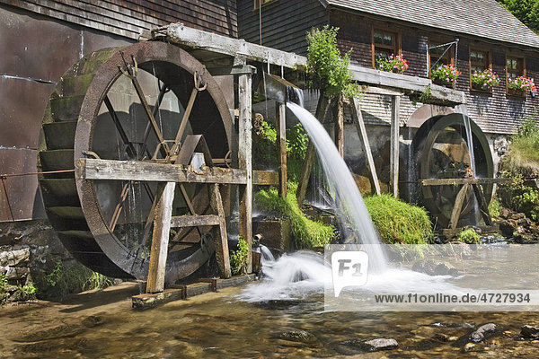 Hexenlochmuehle mill near Furtwangen  Black Forest mountain range  Baden-Wuerttemberg  Germany  Europe