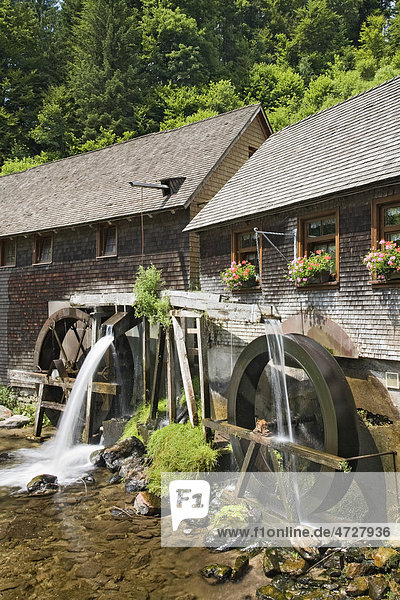 Hexenlochmuehle mill near Furtwangen  Black Forest mountain range  Baden-Wuerttemberg  Germany  Europe