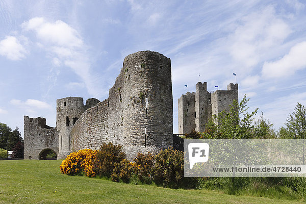 Trim Castle  County Meath  Leinster  Republik Irland  Europa