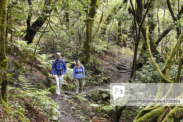 Man and woman hiking on a forest trail  laurel forest  Garajonay National Park  La Gomera  Canary Islands  Spain  Europe