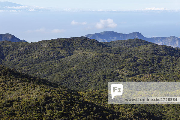 Bewaldete Berge im Nationalpark Garajonay  Blick vom Berg Garajonay  höchster Punkt von La Gomera  Kanaren  Spanien  Europa
