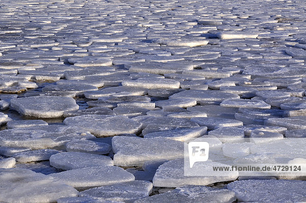 Abgerundete Eisschollen auf der Ostsee vor Stein  Probstei  Kreis Plön  Schleswig-Holstein  Deutschland  Europa