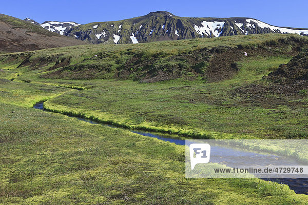 Klarer Bach in einer Vulkanlandschaft  Eyjafjallajökull  Island  Europa