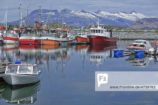 Fischerboote im Hafen von Vevelstadt  Stokkefjorden  Norwegen  Skandinavien  Europa