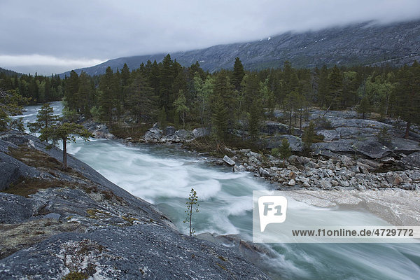 Fluss in der norwegischen Hochebene  Norwegen  Skandinavien  Europa