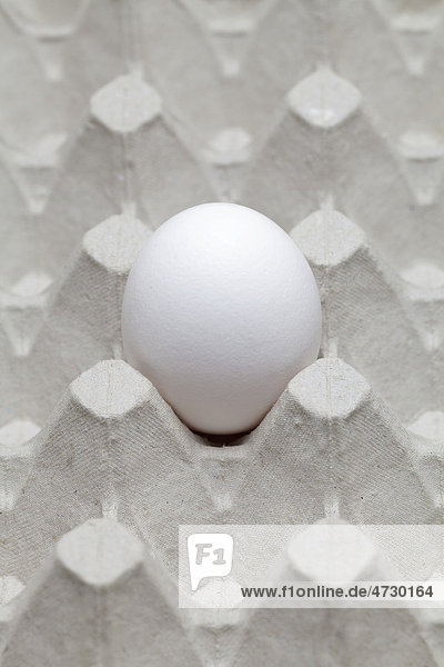 Einzelnes Ei in Eierkarton