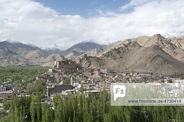 Blick von oben auf die Altstadt von Leh alter Königspalast Pappeln Gebirgslandschaft Distrikt Ladakh Bundesstaat Jammu und Kaschmir Indien Südasien Asien