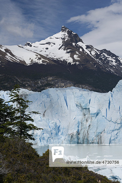 Pico Moreno mit Gletscher Perito Moreno  Parque National Los Glaciares  Patagonien  Argentinien  Südamerika