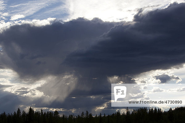 Aufziehendes Gewitter  Cumulonimbus oder Kumulonimbus Wolken  Gewitterwolken  Yukon Territory  Kanada