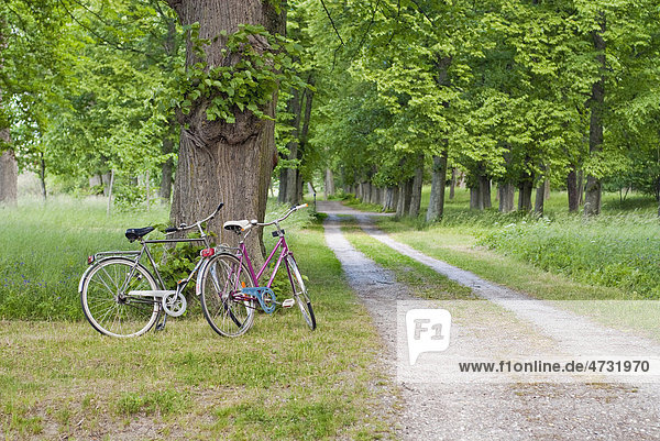 Zwei Fahrräder  die an einer Schotterstraße abgestellt wurden  Schweden  Europa