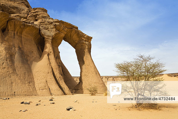 Tin Aregha Sandsteintor im Akakus Gebirge  libysche Wüste  Libyen  Sahara  Nordafrika  Afrika